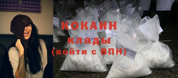 шишки Алексеевка