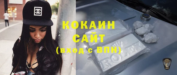 кокс Алексин
