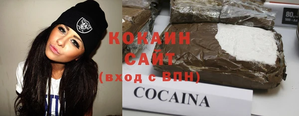 кокс Алексин